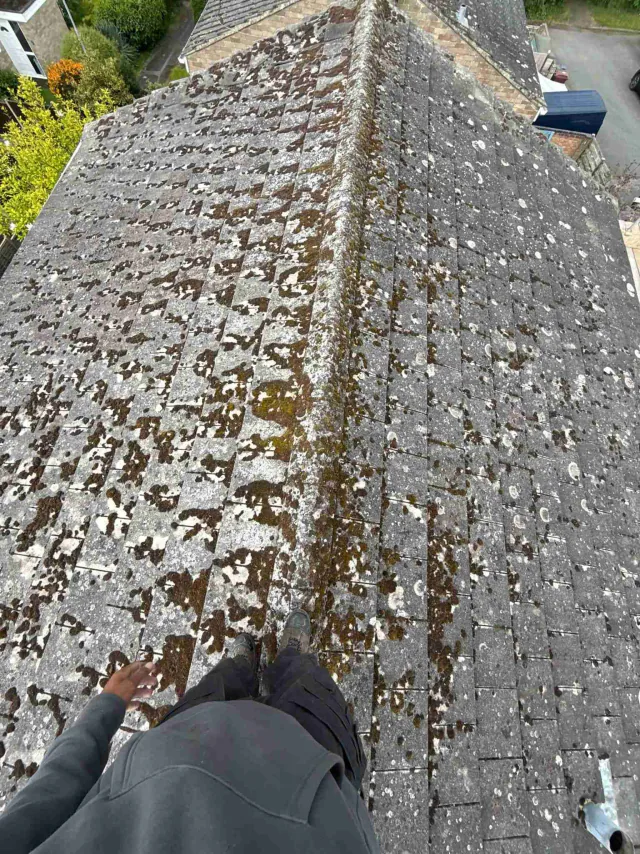 Tiled roof with ridge tiles