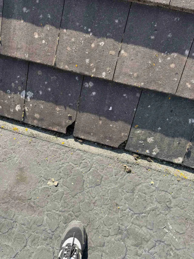 Tiled roof with ridge tiles