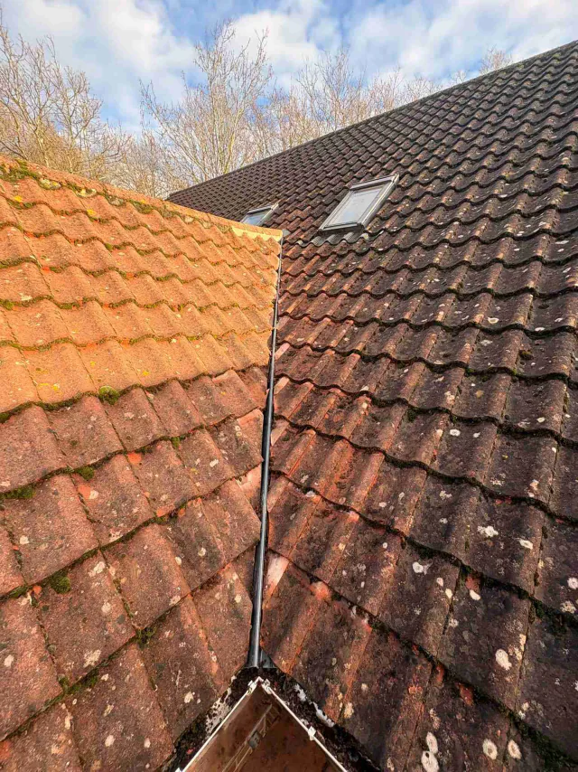 Tiled roof with ridge tiles