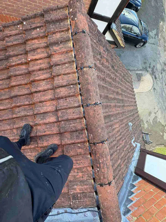Tiled roof with ridge tiles