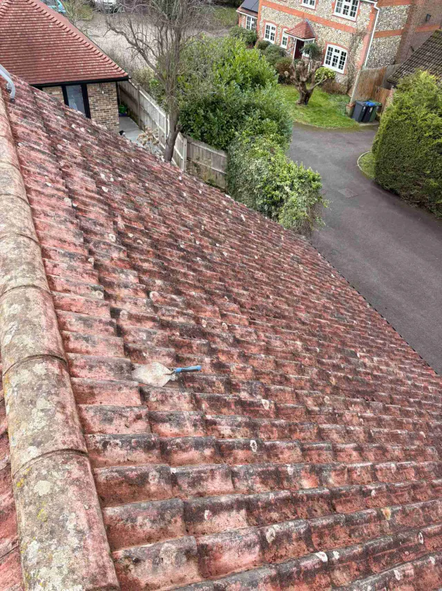Tiled roof with ridge tiles